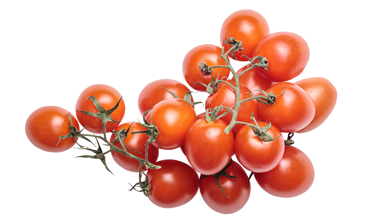 red cherry tomatoes images, red cherry tomatoes png, red cherry tomatoes png image, red cherry tomatoes transparent png image